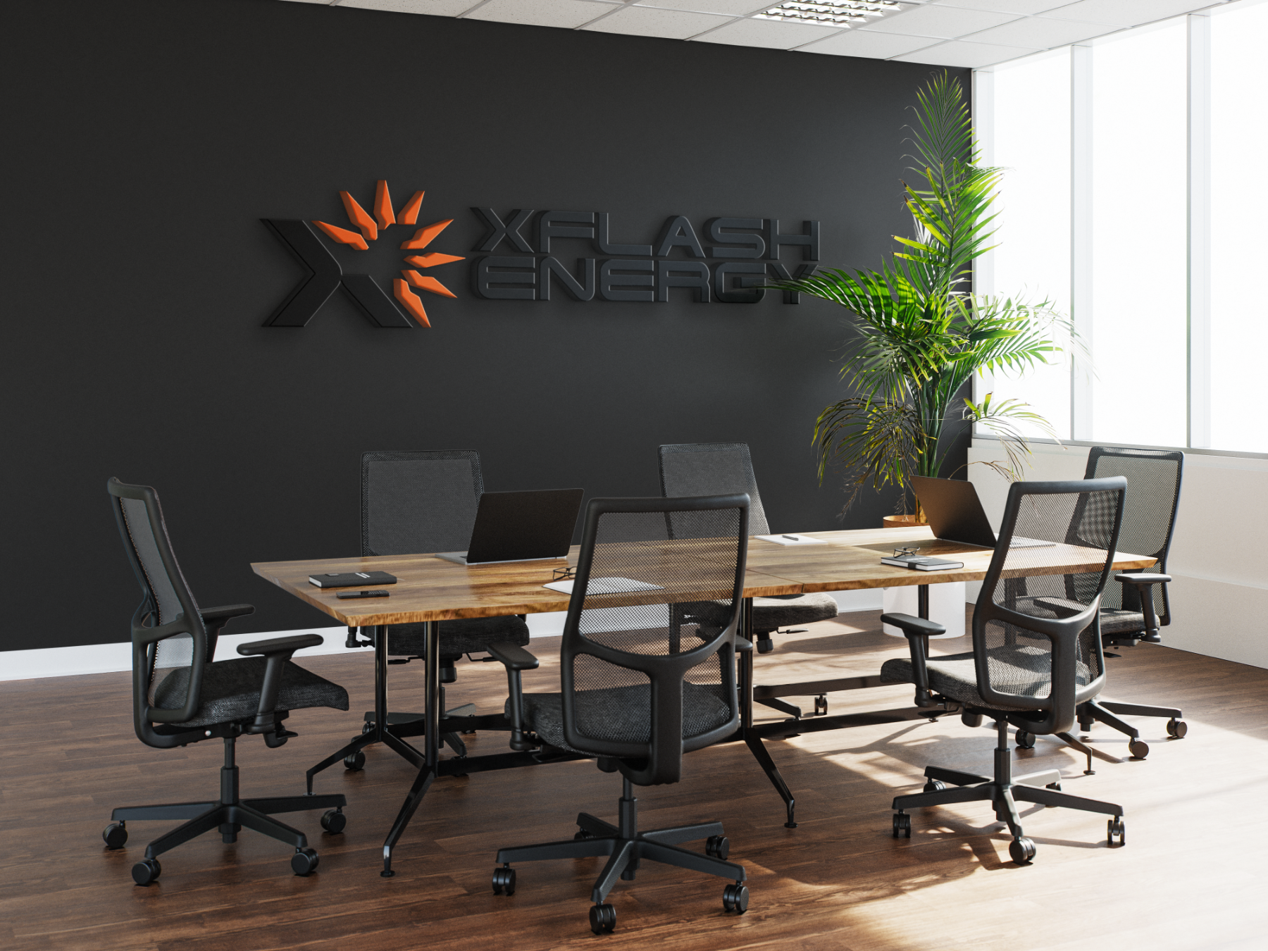 XFLASHENERGY visual